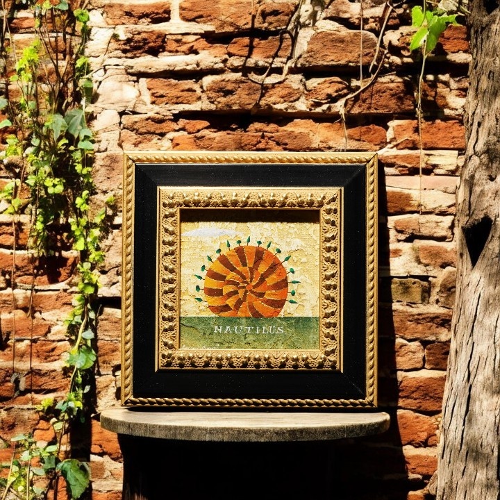 東京名家 小澤摩純 手繪  鸚鵡螺  