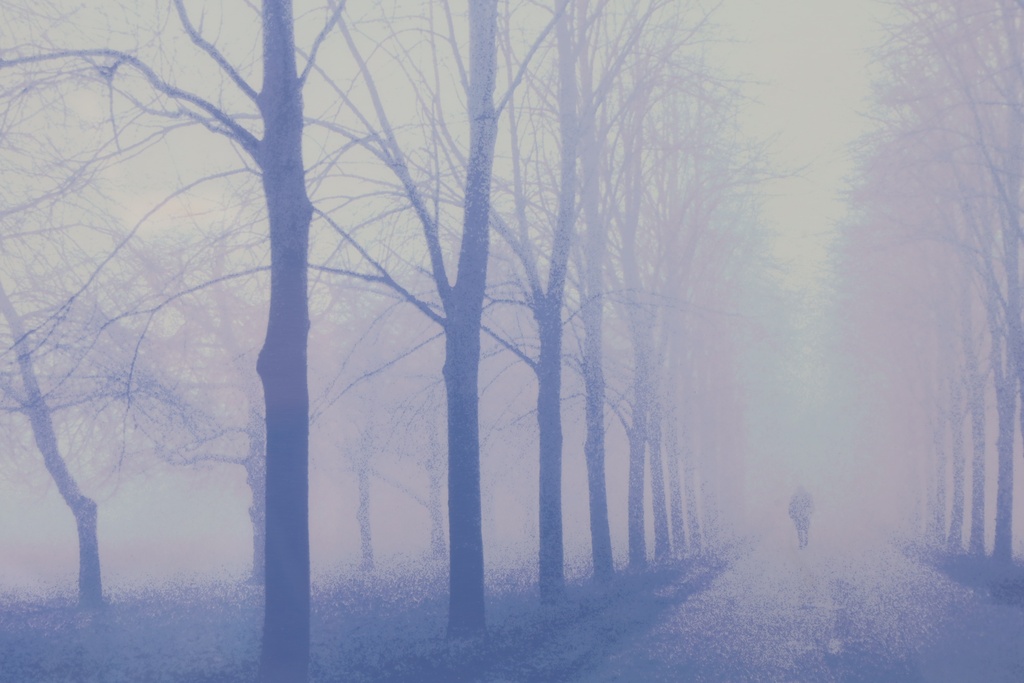 東京名家 志村博 限量簽名版畫 北國森林  