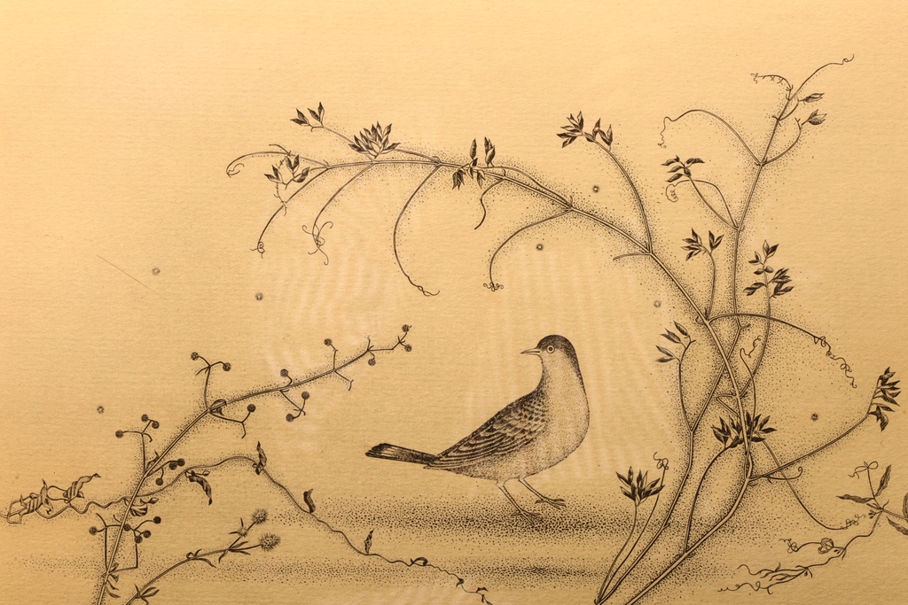 版畫大師 長谷川潔 金框 版畫 野辺小禽  